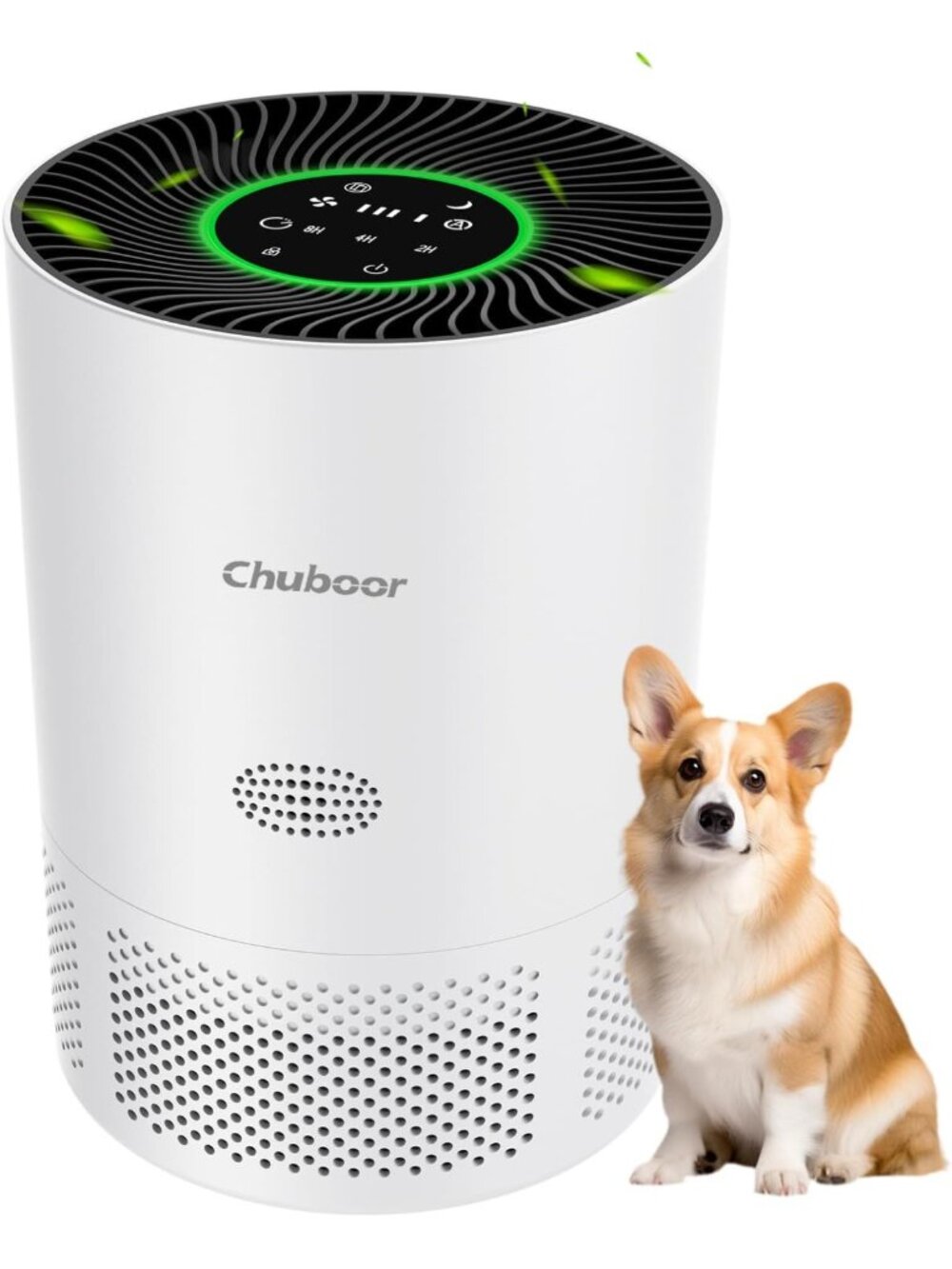 Large Room Air Purifier with H13 True HEPA Filter & Timer - Clean Air Solution